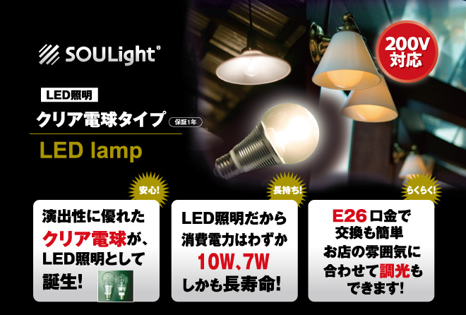 sykクリヤ電球メイン画像